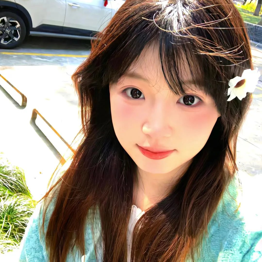 飞燕新装